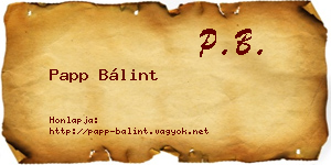 Papp Bálint névjegykártya